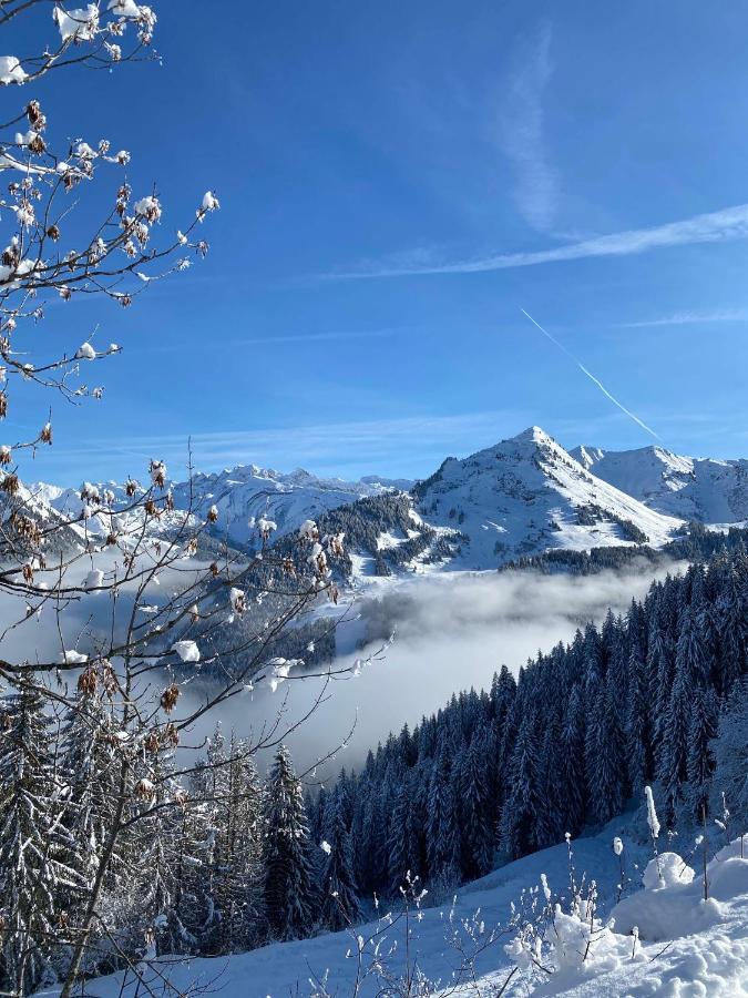 Hotel Rhodos Morzine Avoriaz Exterior foto